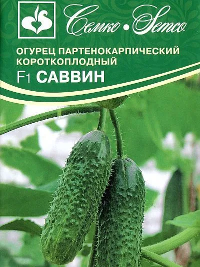 Огурец Саввин F1