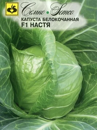 Капуста белокочанная Настя F1