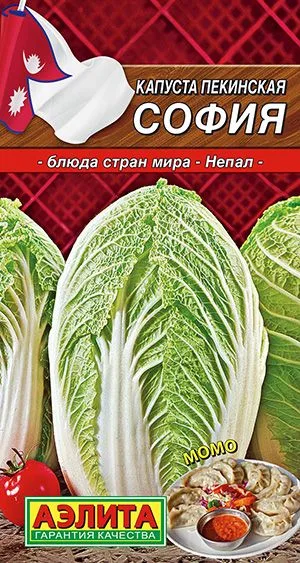Капуста пекинская София