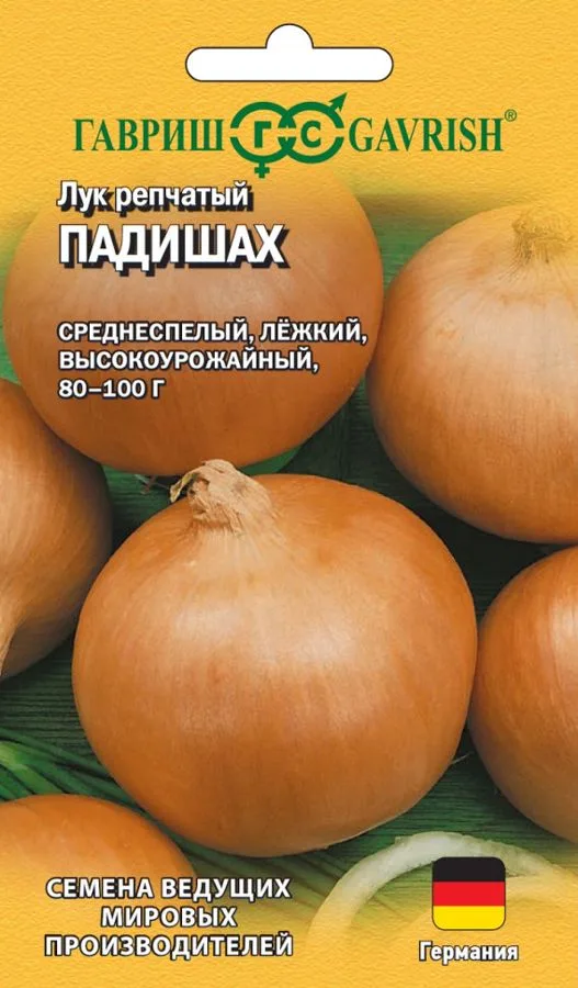 Лук репчатый Падишах