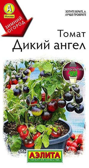 Томат Дикий ангел