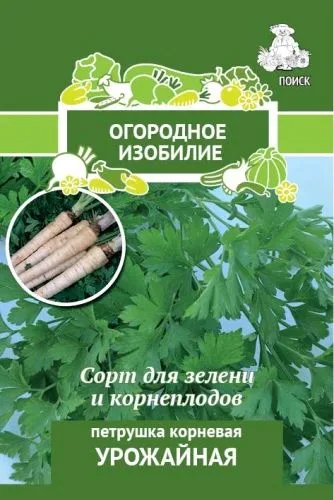 Петрушка корневая Урожайная