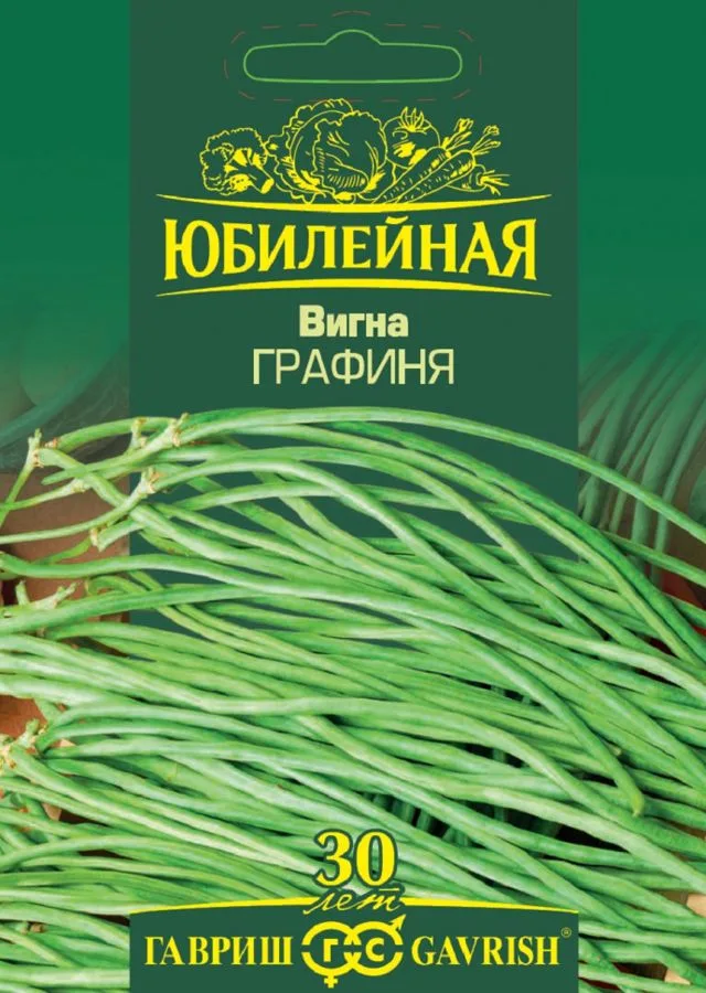 Фасоль Графиня