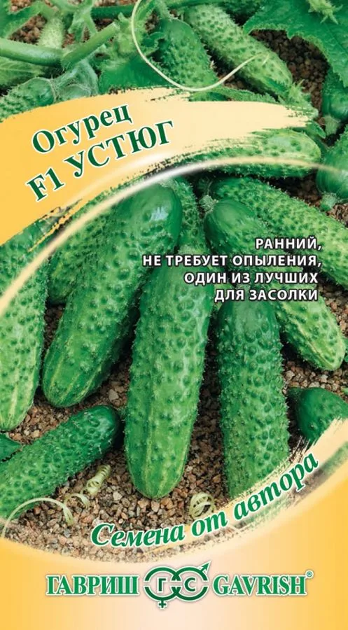 Огурец Устюг F1