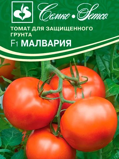 Томат Малвария F1