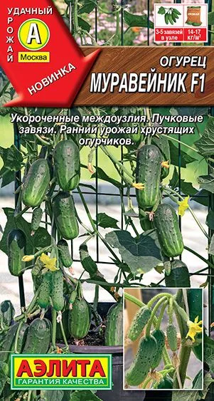 Огурец Муравейник F1