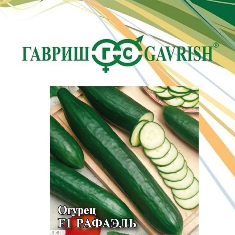 Огурец Рафаэль F1