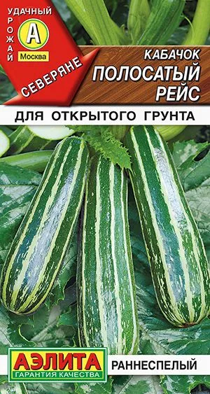 Кабачок цуккини Полосатый рейс