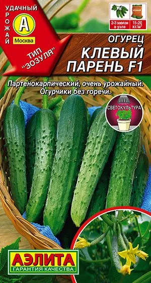 Семена: Огурец Клевый парень F1