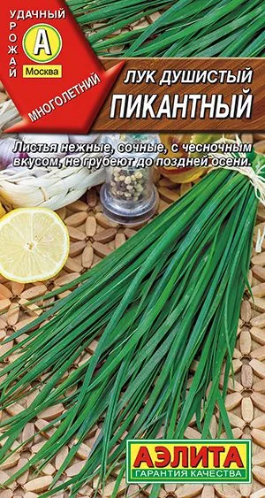 Лук душистый Пикантный