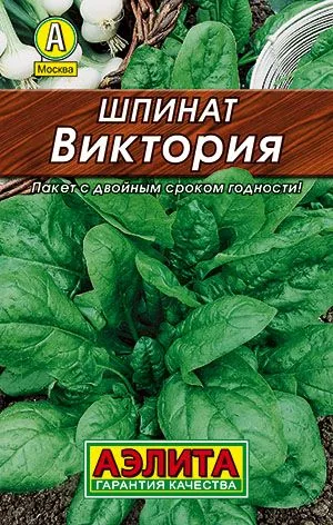 Салат Шпинат Виктория