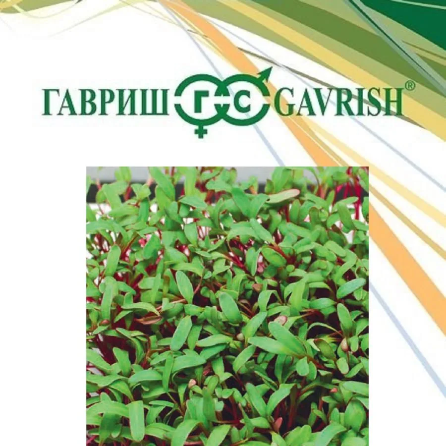 Салат Белавинка и Алый
