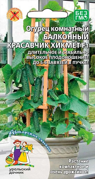 Семена: Огурец Балконный красавчик Хикмет F1