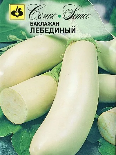 Баклажан Лебединый