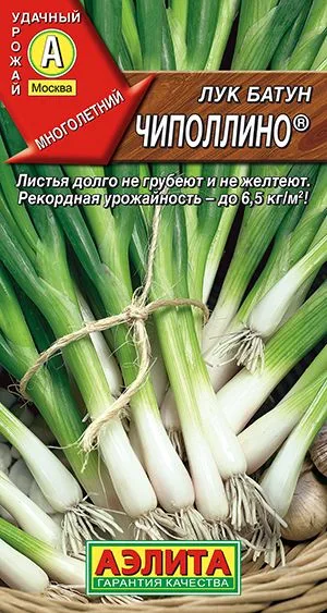 Лук батун Чиполлино ®