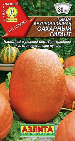 Тыква крупноплодная Сахарный гигант