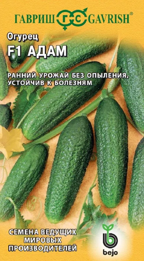 Семена: Огурец Адам F1