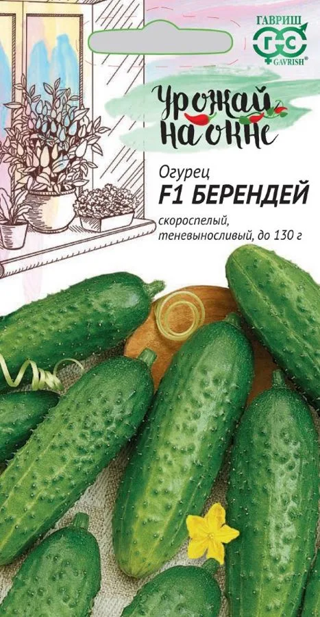 Семена: Огурец Берендей F1