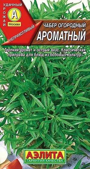 Пряные травы Чабер огородный Ароматный