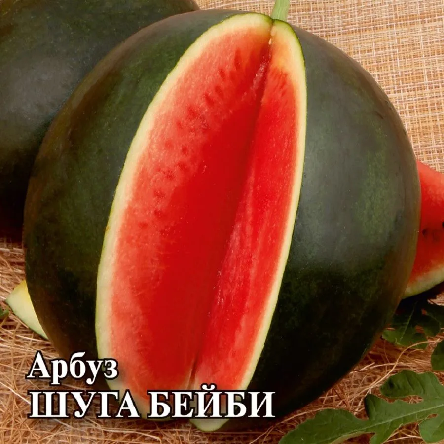 Арбуз Шуга Бейби