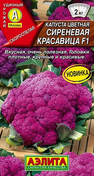 Капуста цветная Сиреневая красавица F1