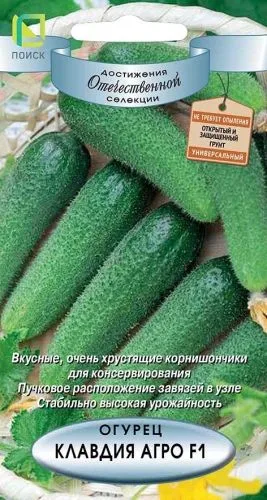 Огурец Клавдия Агро F1