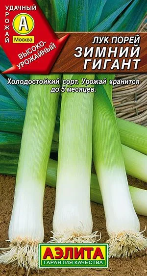 Лук порей Зимний гигант