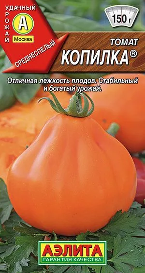 Томат Копилка