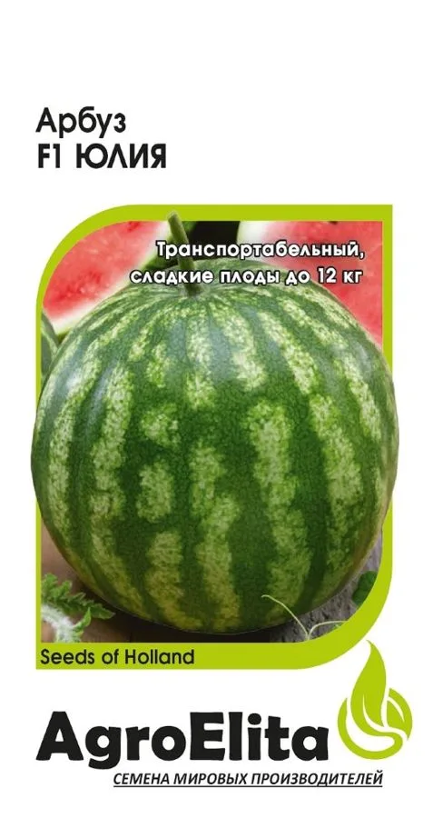 Арбуз Юлия F1