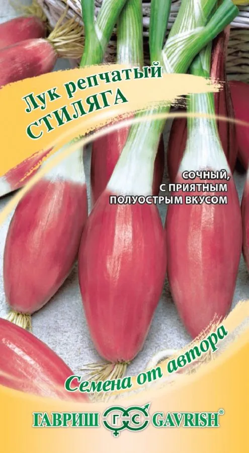 Лук репчатый Стиляга