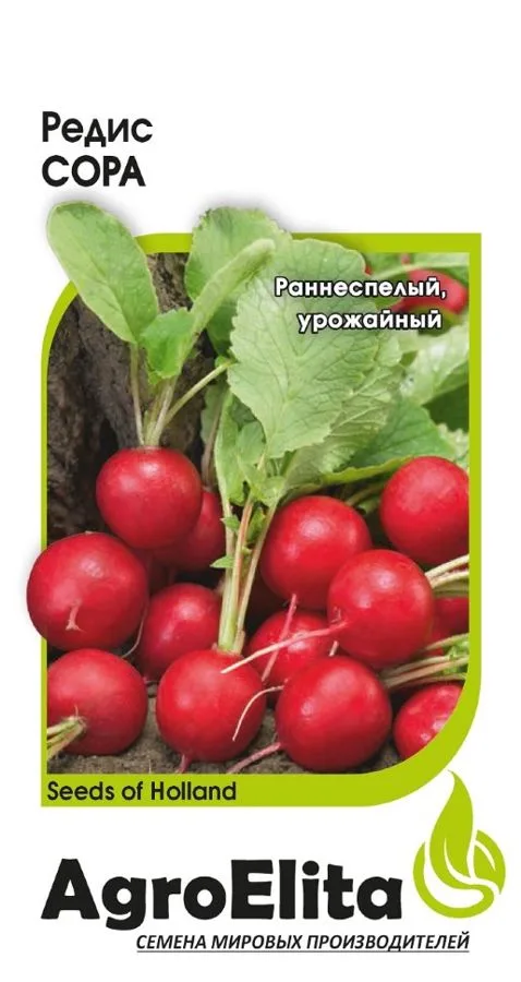 Редис Сора