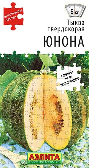 Тыква твердокорая Юнона