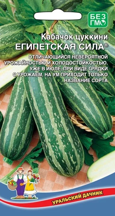 Кабачок цуккини Египетская сила
