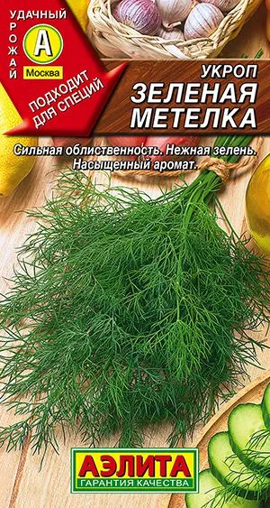 Укроп Зеленая метелка