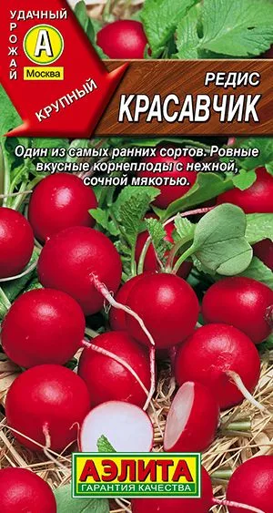 Редис Красавчик