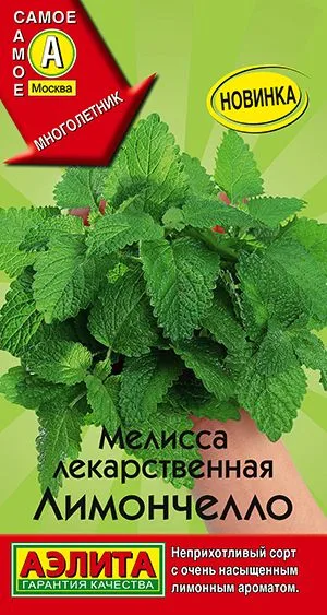 Пряные травы Мелисса лекарственная Лимончелло