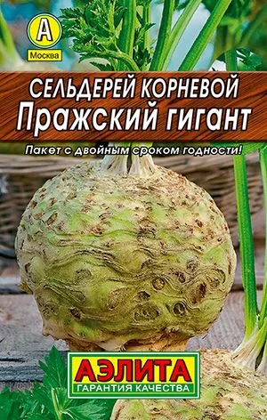 Сельдерей корневой Пражский гигант