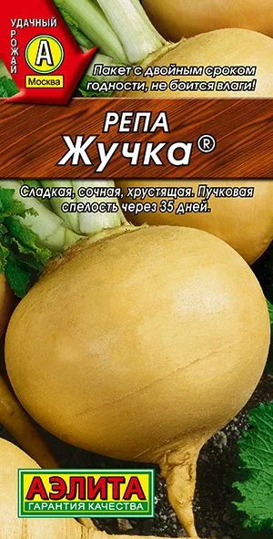Репа Жучка