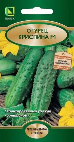 Огурец Криспина F1
