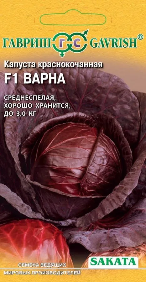 Капуста краснокочанная Варна F1