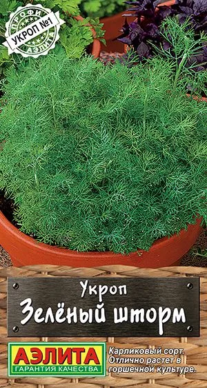 Укроп Зеленый шторм