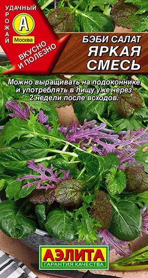 Салат Бэби салат Яркая смесь
