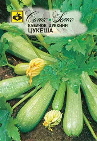 Кабачок Цукеша