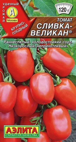 Томат Сливка-великан