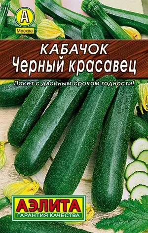 Кабачок цуккини Черный красавец