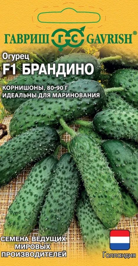 Семена: Огурец Брандино F1