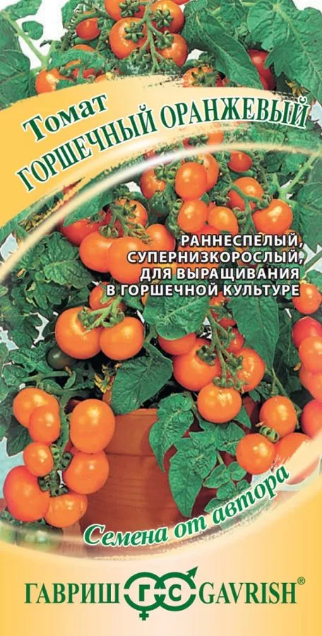 Томат Горшечный оранжевый
