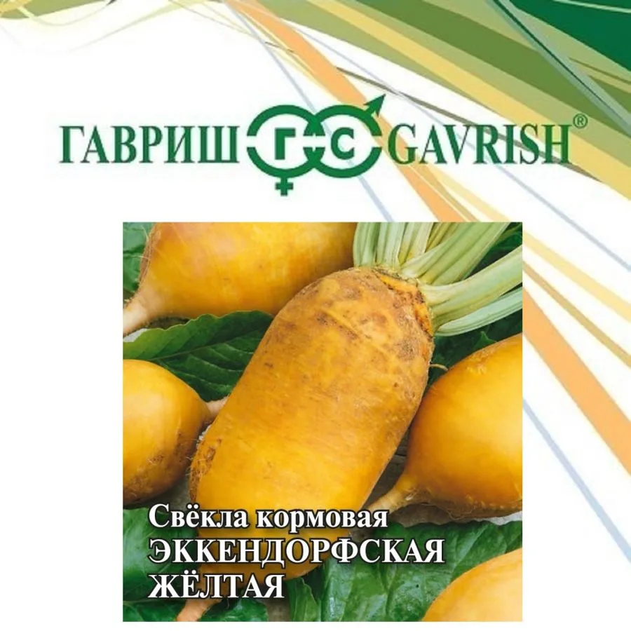 Свёкла Эккендорфская желтая