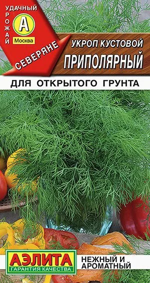 Укроп кустовой Приполярный