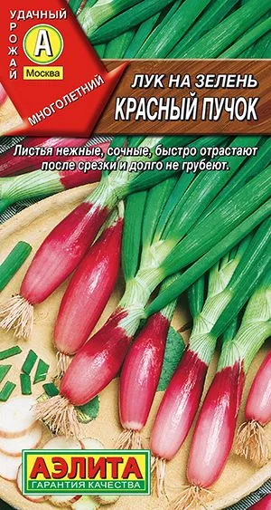Лук на зелень Красный пучок